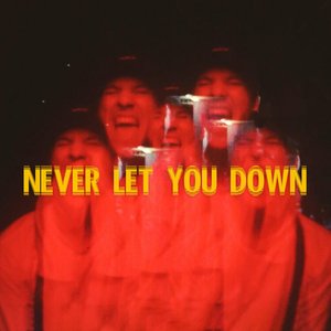 never let you down