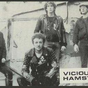 “Vicious Hamsters”的封面