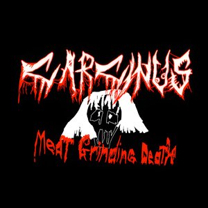 Meat Grinding Death