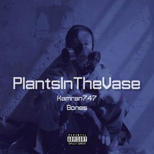 PlantsInTheVase