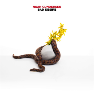 White Noise cover