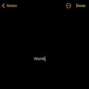 Womb