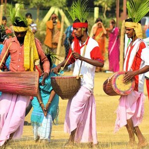 Tarpa Dance of Warli 的头像