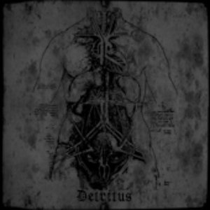 Detritus