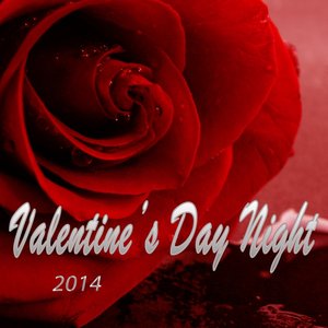 Valentine's Day Night 2014 (2014)