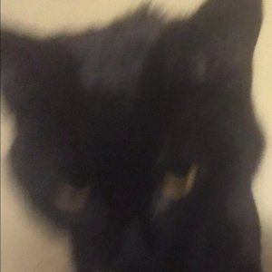 Delrith