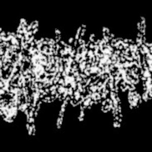GASTRORRHOEA 的头像