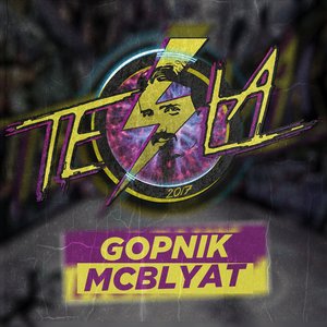 Tesla 2017