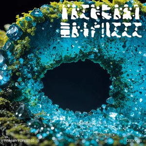 PRIMARY FOREST 03