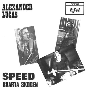 Svarta Skogen
