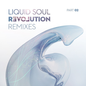 Liquid Soul - Revolution Remixes, Pt. 2 - Zortam Music