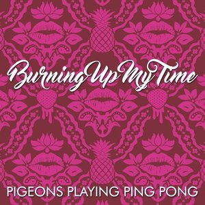 Pigeons playing ping pong cd