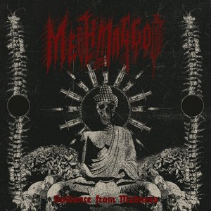 Guidance From Madness