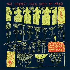 Hold Open My Head - EP