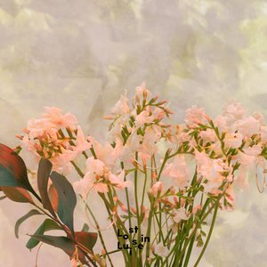 Samples - EP