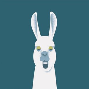 lofi llama 的头像