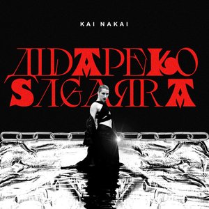 ALDAPEKO SAGARRA
