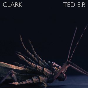 Ted E.P.