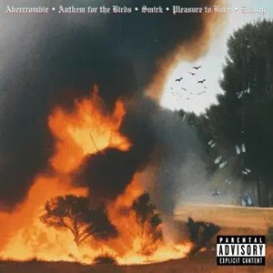 Pleasure To Burn [Explicit]