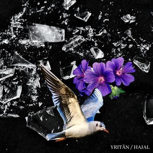 YRITÄN/HAJAL