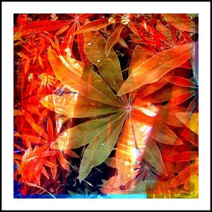Avatar for Satumnaisuus