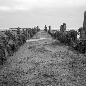 Реквием по утопшему