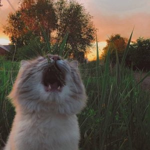 time is such a lonely thing - Single