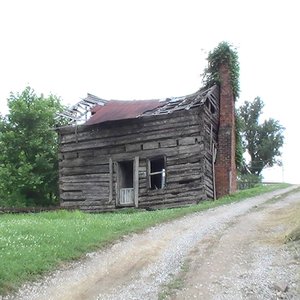 Avatar for American Traditional