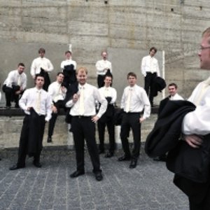 Camerata Musica Limburg 的头像