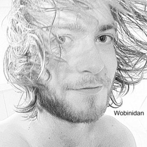 “wobinidan”的封面