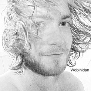 wobinidan 的头像