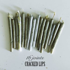 Cracked lips 的头像