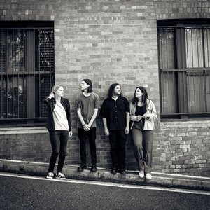 Fragile Animals 的头像