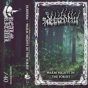 Warm Nights In The Forest