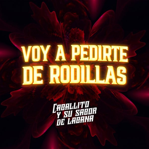 Artwork for Voy a pedirte de rodillas