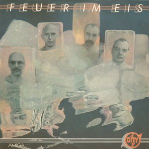 Feuer im Eis cover