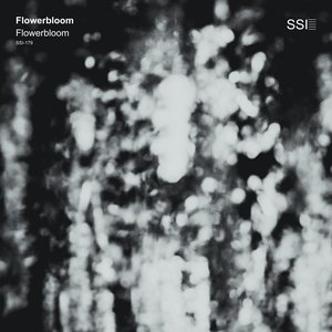 Flowerbloom