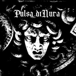 Image for 'Pulsa diNura'