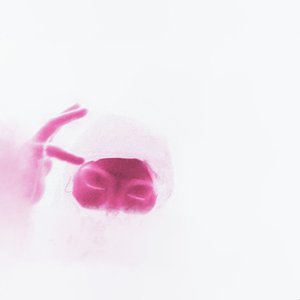 Skyboxing [Explicit]
