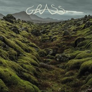 Grass