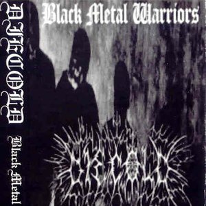 Black Metal Warriors