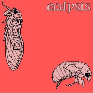Ecdysis