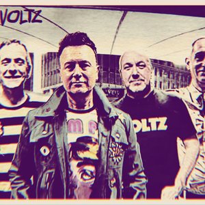 The Voltz 的头像