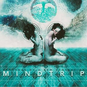 Mindtrip [Explicit]
