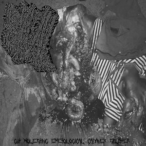 Gut Molesting Emetological Cadaver Splatter