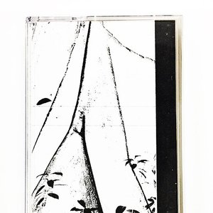 Desert Peace 的头像