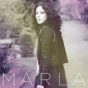 40 Winks - Single