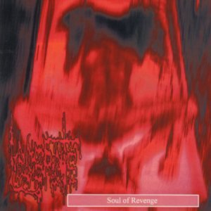 Soul of Revenge