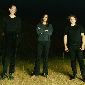 Die Nerven 的头像