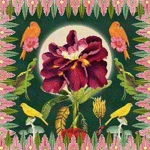 Moon Flower Bloom (Captain Planet's Dub Remix)
